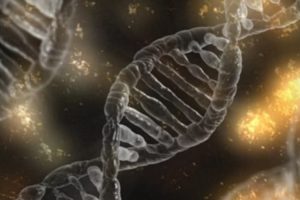 Update on genetics of PSC