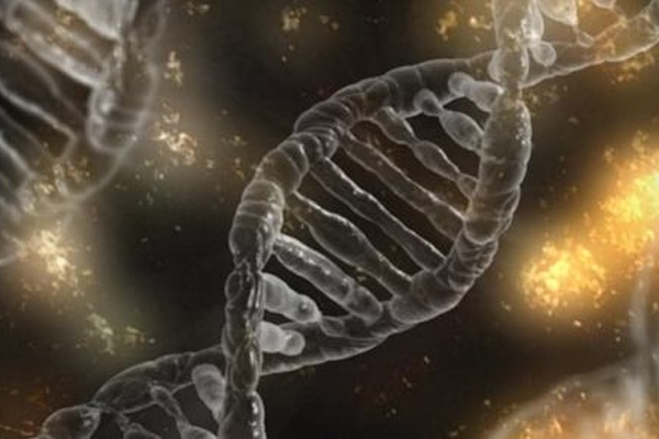 Update on genetics of PSC