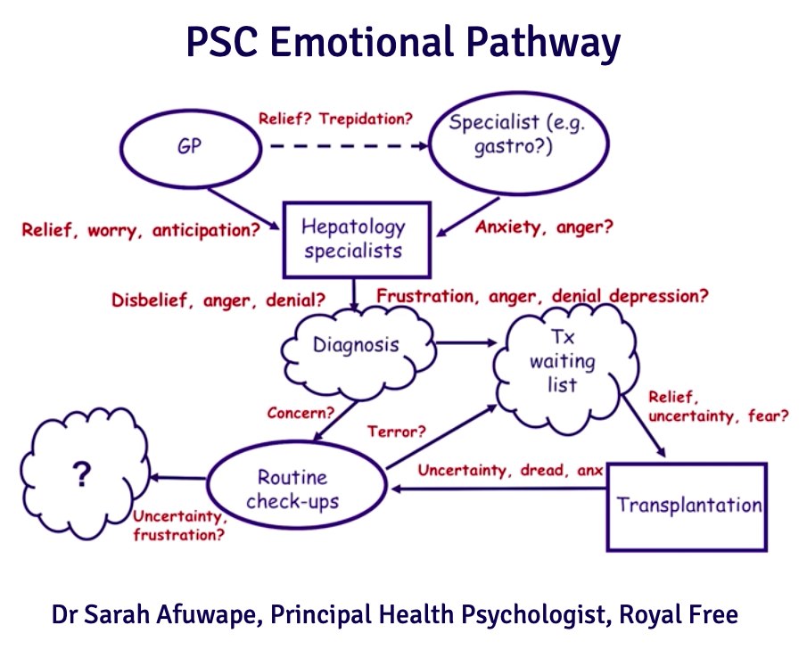 PSC Emotional Pathway