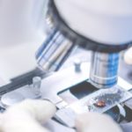 Research we have funded