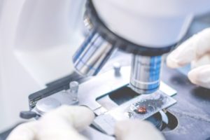 Research we have funded