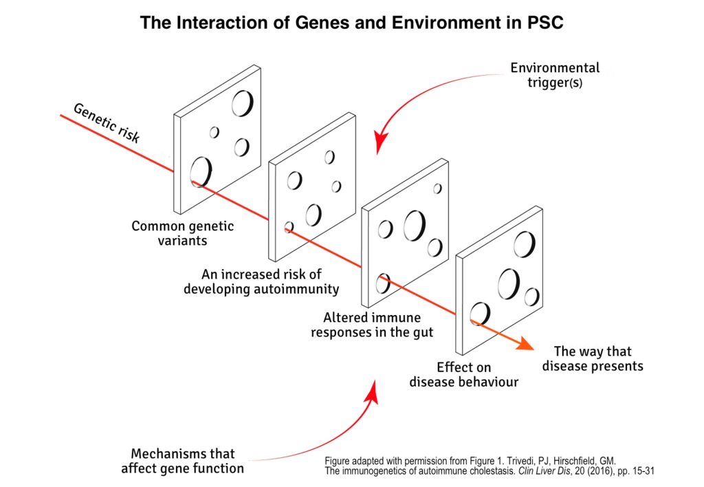 What is the cause of PSC