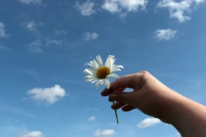 In memory fundraising