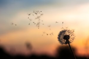 Pioneering wellbeing in PSC