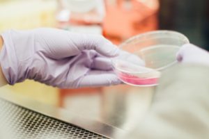 Research and Medicine Development